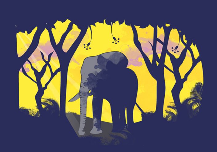 elephant-illustrationb